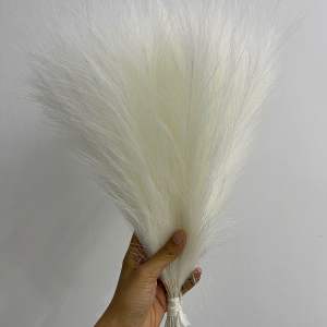 Daun bulu pampas rayung dekorasi wedding dried import rustic hiasan meja