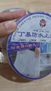 WhatsApp Video 2025-03-29 at 11.58.49_4934773f.mp4