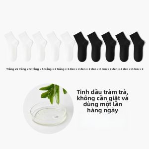 B&C.Room | Vớ Mid-Calf Chống Hôi Một Lần Sử Dụng
