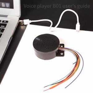 DC 5V 6–35V 9-Channel MP3 Player Audio Module Automotive Voice Module Custom Voice Access Control and Security Alarm Speaker