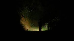 Ulefone Armor 24 Waterproof Rugged Smartphones 6.78Inch 24GB+256GB Android 13 Mobile Phone 64MP Camera 22000mAh 4G Cellphone NFC