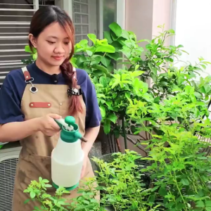 Dịch Chuối Vi Sinh GreenHome Chai 500ml Kích Hoa Mạnh Tăng Đậu Trái Giúp Trái To Ngọt Vàng Cơm