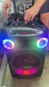 BTS-1927 12 Inches Trolley Portable Speaker with 2 Microphone charging party karaoke speaker