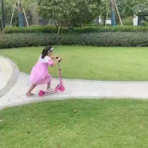 Outdoor Kick Scooter - 2-Wheel Design 300KG Weight Limit & Foldable Handlebar for Big Kids Ages 3-12