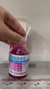 canxi b12 cho gà RTD CALCI B12 - 100ml