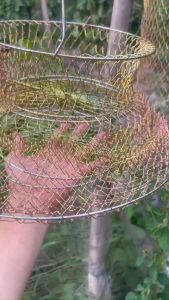 GIỎ SẮT ĐỰNG CÁ GẤP GỌN MÀU VÀNG TI TAN CHẤT LƯỢNG CAO CÓ 5 SAI