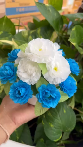 ดอกไม้วันแม่ ( กระถางดอกมะลิวันแม่ สีขาว+ฟ้า พร้อมกระถางขาว ) มะลิปลอม ดอกมะลิวันแม่ พร้อมกระถางสวยมากๆๆ พร้อมส่ง