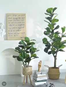 FIDDLE FIG Artificial Plant Artificial Flower Faux Greenery Potted Plant Home Decoration Indoor Outdoor Decorative Plants for Living Room Bedroom Office Desk Tabletop Garden Café Event Wedding Artificial Decorative Plant Ornament Accessories