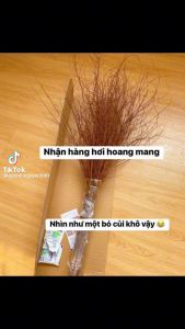 Bó hoa tuyết mai rừng ngủ đông trang trí cành dài 1m