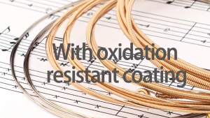 Guitto GSA-010 สายกีตาร์โปร่ง เบอร์ 10 มาตรฐาน เคลือบกันสนิม แพ็คสุญญากาศ อย่างดี ( Acoustic Guitar Strings Set : 0.010-0.048 )