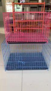 กรงหมา กรงแมว รุ่นสีทอง กรงสัตว์เลี้ยง กรงกระต่าย ขนาด 59x43x45 ซม