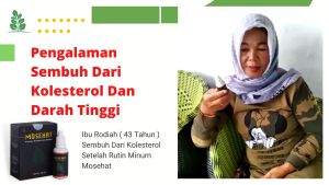 Mosehat Obat Kolesterol dan Darah Tinggi Asam Urat Herbal Ampuh BPOM Halal & Original Berkhasiat Dijamin Asli