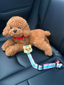 DINGBEIQI | Car Pet Safety Belt