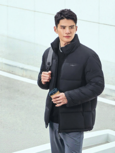 Erke | Three-Proof Stand Collar Mens Down Jacket
