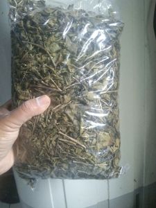 teh hijau asli kiloan 1kg