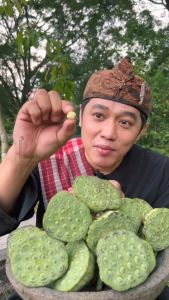 Biji Lotus Segar 1 Kg Biji Sayur / Kacang Lotus Lotus seed