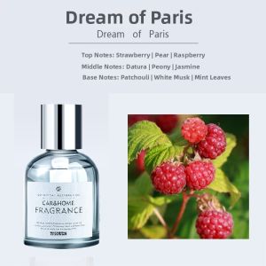 JOYCS | Deodorizing Long-lasting Car Fragrance