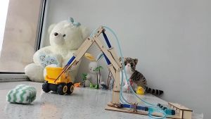 Cánh Tay Robot Thủy Lực Loại To - Đồ Chơi Lắp Ráp Đồ Chơi Trẻ Em Diy Giáo Dục STEM STEAM