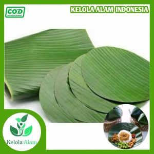 Daun pisang bulat segar ukuran 15cm 20cm 25cm alas makanan isi 10lembar