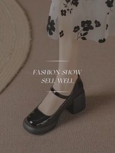 French Style Mary Jane Shoes Chunky Heel Single-Layer Shoes for Women Ladies 2025 Spring New Low-Cut High Heels