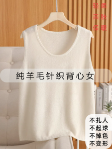 Pure Wool Knitted Sleeveless round Neck Vest Womens Autumn Winter New Style Loose Fit Base Layer Outerwear Fashionable