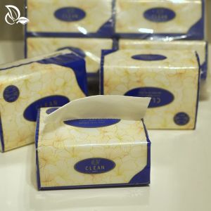 【30PACKS】DWY tissue viral 5ply  tissue paper facial tissue  Small pack of travel tissues 240pcs