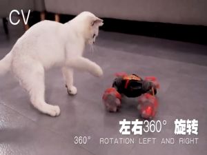 Double Sided Rotating Vehicles 4WD Gesture Stunt Car 2.4GHz Electric Race Stunt RC Drift Cars Remote Control Car Toy 特技车