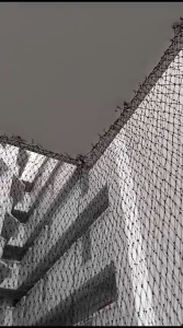 [Pure Cool Aircon PTE LTD] Bird Netting Installation