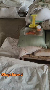 Akita Fly Bait STATION Container ONLY (WITHOUT BAIT INCLUDED)   Effective Fly Killer For Fly Control in Poultry & Other Farms