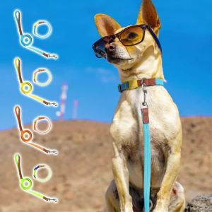 Hamshmoc Dog Collar Leash Set Lightweight Adjustable 360° Swivel Clip Leather Handle For Small/Medium Dogs