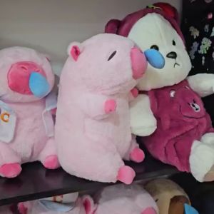 Thú nhồi bông capybara hồng chảy nước mũi đáng yêu - Size từ 35cm đến 45cm - Móc khoá gấu bông Capybara.