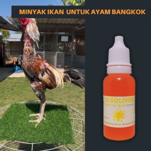 Visoliver Minyak Ikan Untuk Ayam Bangkok Aduan Jago Ekor Lidi Mengandung Omega3 Dan Vitamin