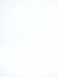 alo yoga Atasan Sukan Split Musim Bunga Musim Panas Wanita Lari Cepat Kering Leher Bulat T Baju Lengan Pendek Yoga Kecergasan Luaran