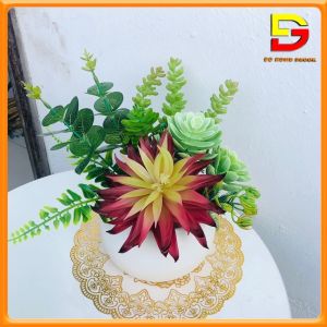 Chậu Sen Đá Chậu Cây Giả Để Bàn Decor Bàn Trà Kệ Tủ Cao 20cm Nhiều Mẫu Cắm Sẵn DG-110