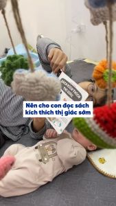 Sách kích thích thị giác - Đen trắng và màu sắc tương phản cho bé 0 -3 tuổi - Đinh Tị Books