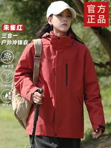 Three-in-One Quilted Jacket for Men And Women Windproof Waterproof down Jacket City Outdoor Climbing Suit Small Size for Autumn Winter