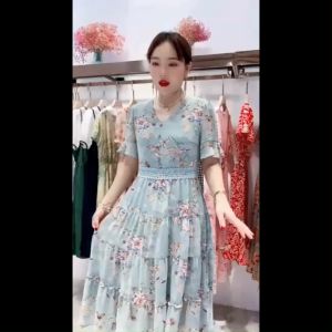 V-neck cake skirt short sleeved chiffon skirt printed dress