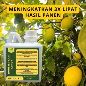 Pupuk Semprot Pelebat Buah LEMON Pupuk Pelebat Buah LEMON Pupuk Penyubur Buah LEMON ZPT