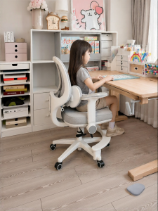 XIGE | Posture Correction Adjustable Study Chair