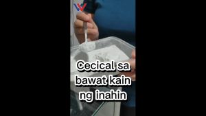 1 kg Cecical Powder feed premix Calcium + vitamins + minerals for animals pets poultry game fowl dog cat pigs cattle goat sheep1kg cecical vitamin powder 1kg belman products