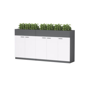 Wooden Office Storage Cabinet