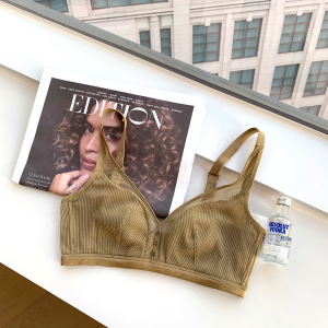 Summer Thin Mesh Rabbit Ear Cup Bra Wireless Bralette Visual Small Chest Large Chest Invisible Lace Net Latex Pad Womens Underwear