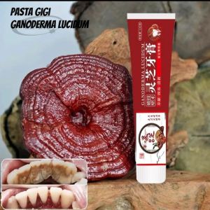 Pasta Gigi Penguat Gigi goyang odol China Ganoderma Lucidum Asli perawatan gigi dan gusi penyegar mulut