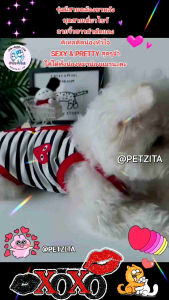 🇹🇭พร้อมส่ง🇹🇭 ❤️ ชุดลายทางติดหัวใจ สุดน่ารัก มีสายคล้องขา สวมสี่ขา FOR PET เสื้อผ้าสัตว์เลี้ยง สุนัข หมา แมว 🐶🐱