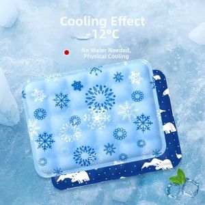 Ice Cooling No Watering Required Cushion
