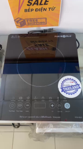 Bếp Điện Từ Panworld PW-863