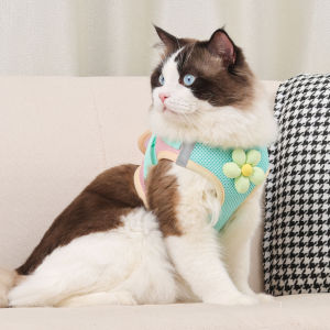 DearPaws Fresh Color Pet Harness with Leash - Breathable Mesh Adjustable Fit Flower Decoration & Velcro Strap for Easy Wear (Cats & Dogs)