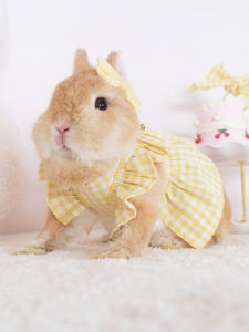 Adorable Polka Dot Rabbit Outfit with Leash Warm Plaid Skirt Fashionable Pet Clothing for Rabbits Umi Brand Item Number 74145