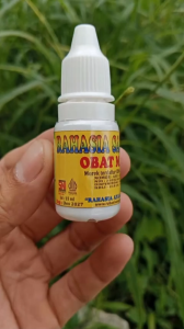 Obat Tetes Mata Ayam Bangkok Aduan Berair Berbusa Katarak Siwer Bengkak Kena Jalu Senot