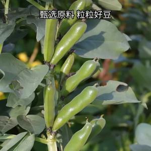 LAOJIEKOU | Beef & Five Spice Flavored LanHua Bean and Peanut Combo Set